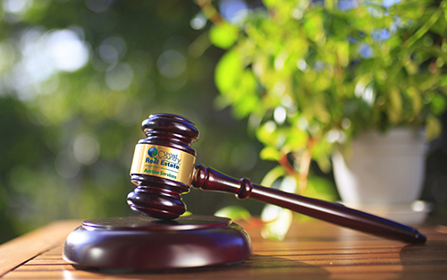  Auction Services